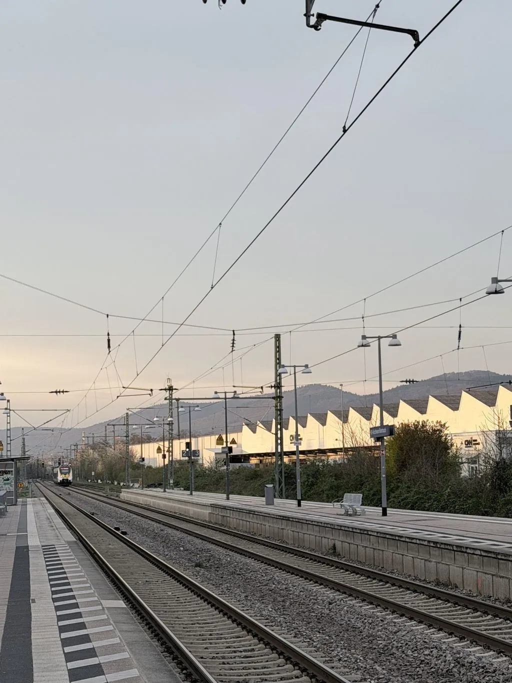Train tracks disappearing into the distance, photographed from a small local station on a warm spring evening, giving off a somewhat industrial charm because of the overhead wiring.