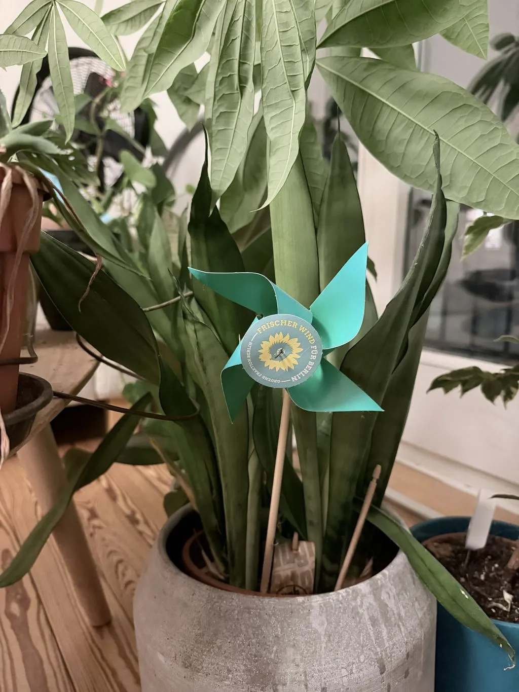 Pin wheel promoting the German Green Party